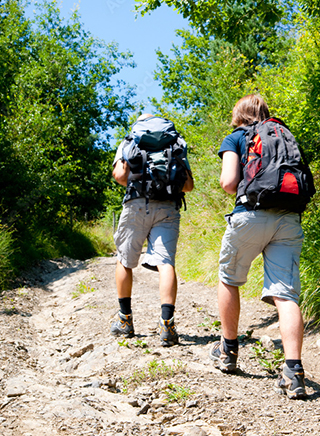 Sport en wandelen, thematische verblijven in de Elzas