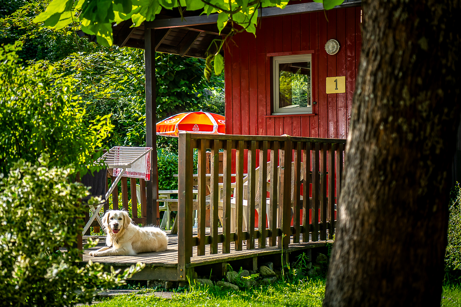 Terrasse der Wormsa-Chalets im Elsass