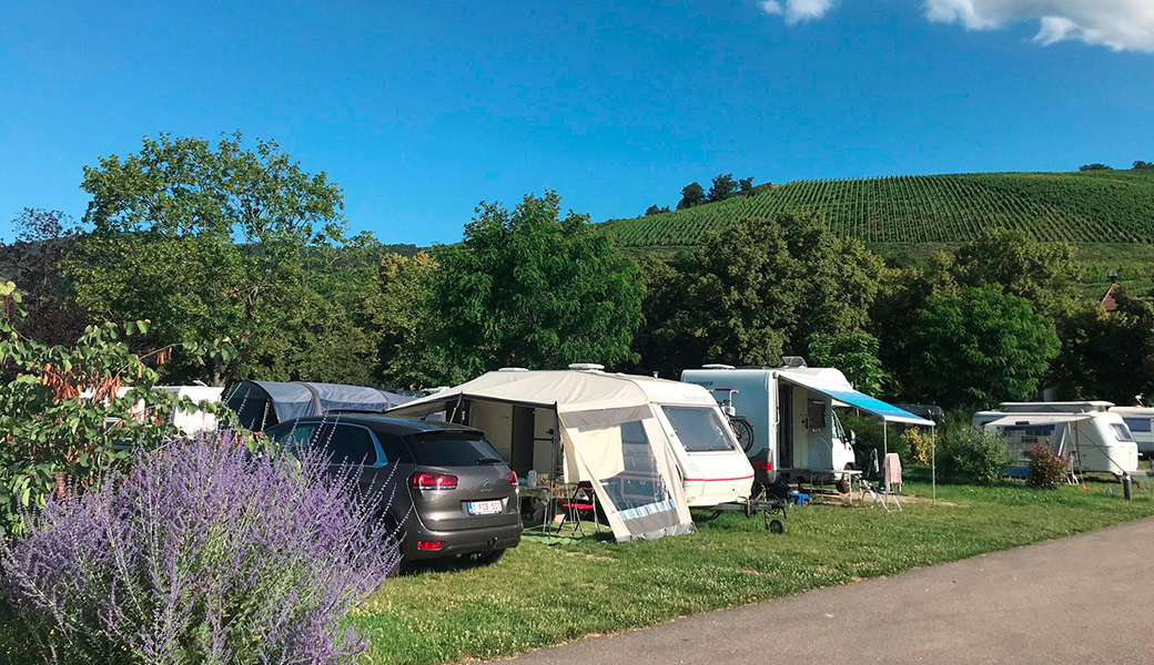 Zeltplätze auf dem Campingplatz le Médiéval in Turckheim im Elsass