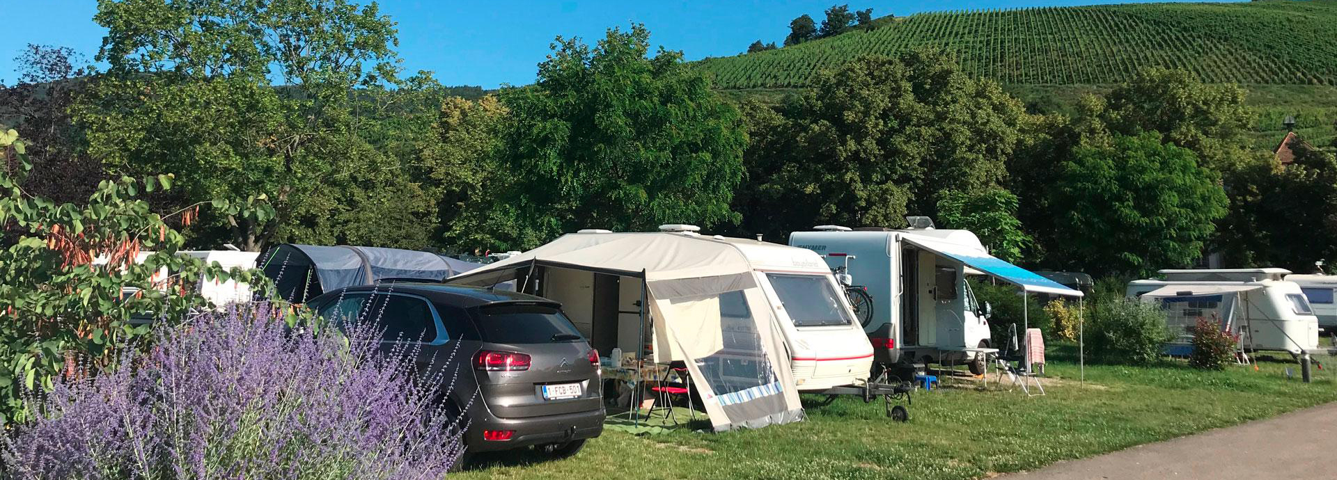 Tentplaatsen op camping le Médiéval in de Elzas