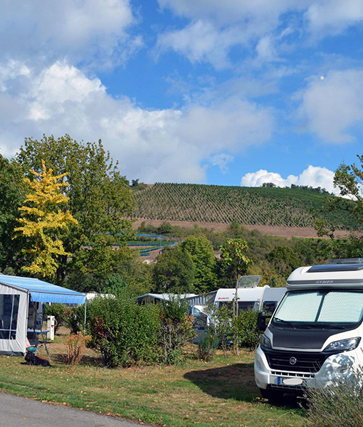 Stellplatz für Wohnmobile und Zelte, des Campingplatzes le Médiéval in Turckheim im Elsass