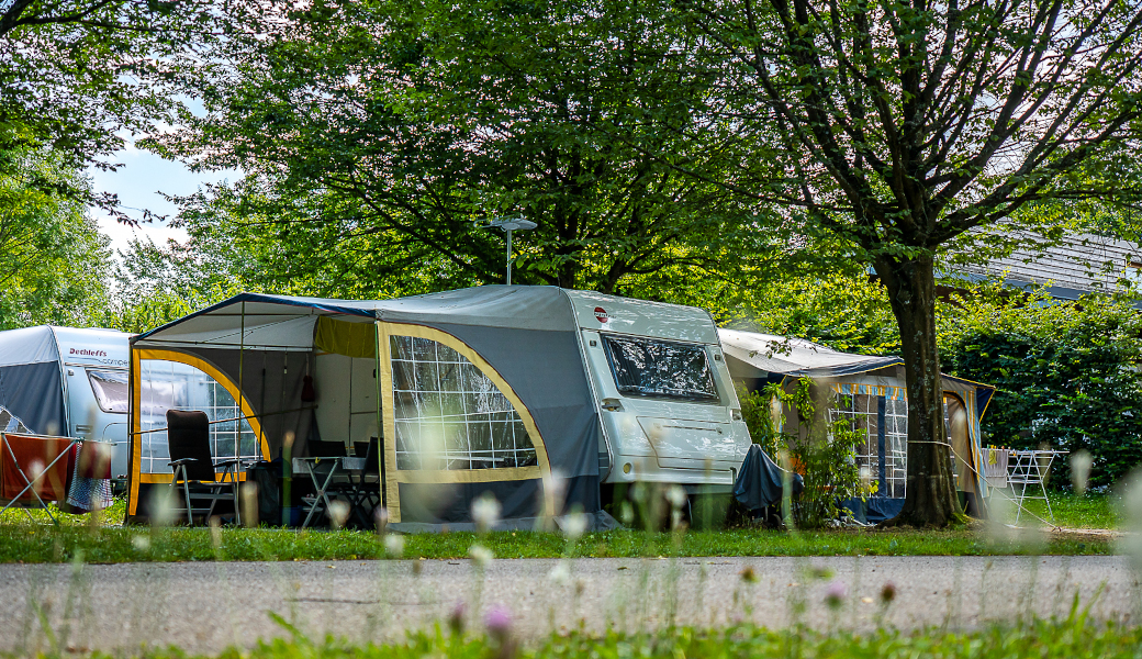 Der Empfang auf dem Campingplatz Le Vallon de l'Ehnen im Elsass