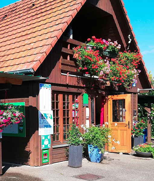 Campingplatz Les Cigognes in Vernay im Elsass