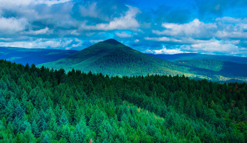 Camping les reflets de Saint Pierre est à proximité des hauts lieux touristiques de l'Alsace