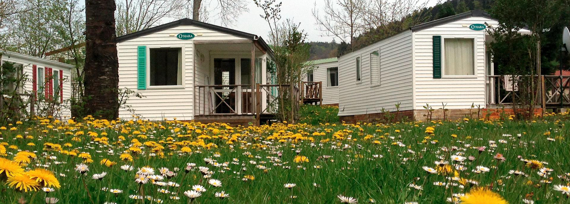 Die Mobilheime auf dem Campingplatz les reflets du Val d'Argent im Elsass