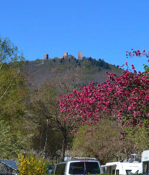 Camping Les Trois Châteaux in the heart of the Alsatian vineyards