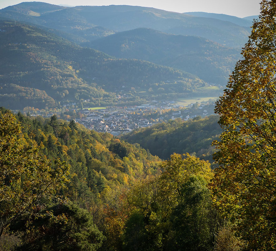 Vallée de Munster