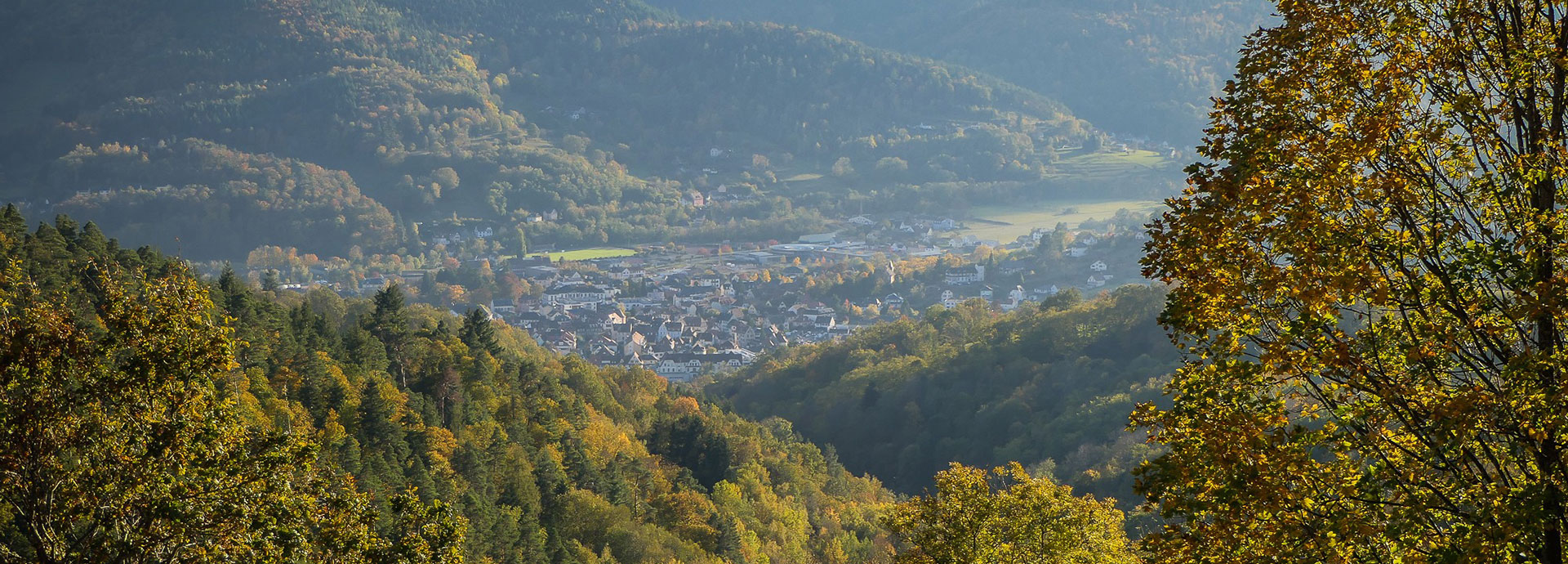 Das Munstertal, das Lebendige Tal!