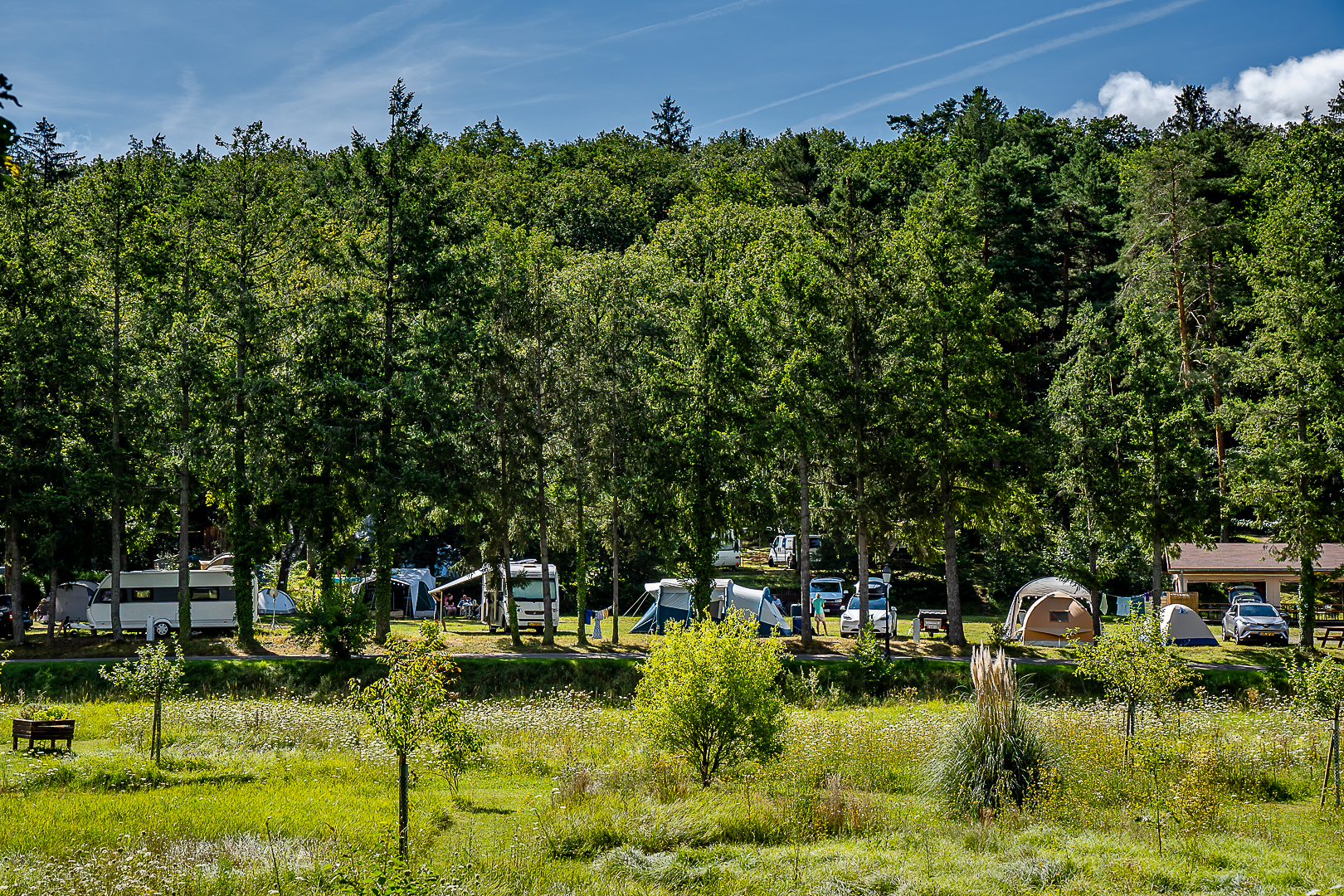 Tent pitch of the nature campsite in Alsace Osenbach