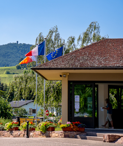 Tent pitch, from the Pierre de Coubertin campsite in Ribeauvillé in Alsace