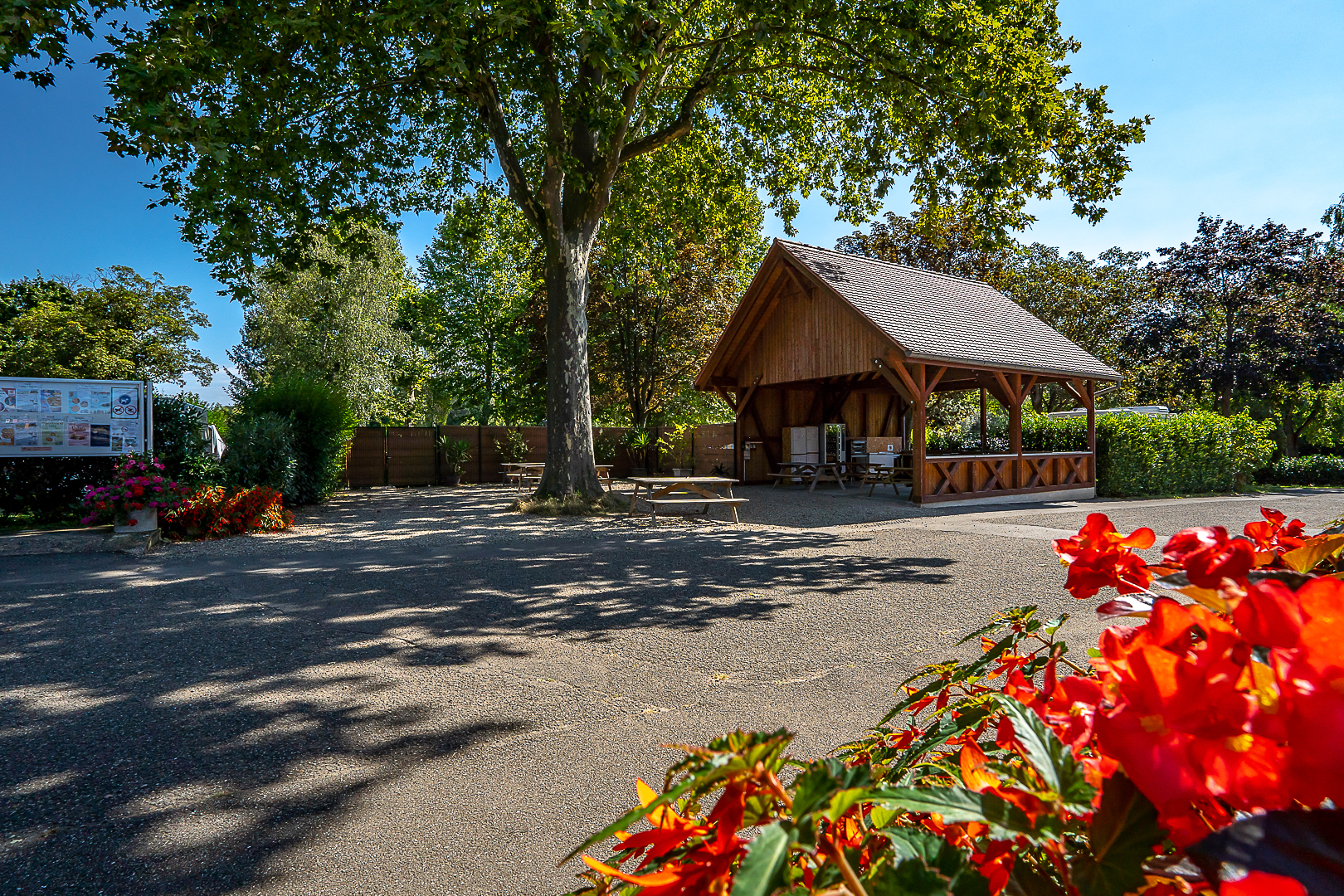 Die Stellplätze des Campingplatzes Riquewihr im Elsass