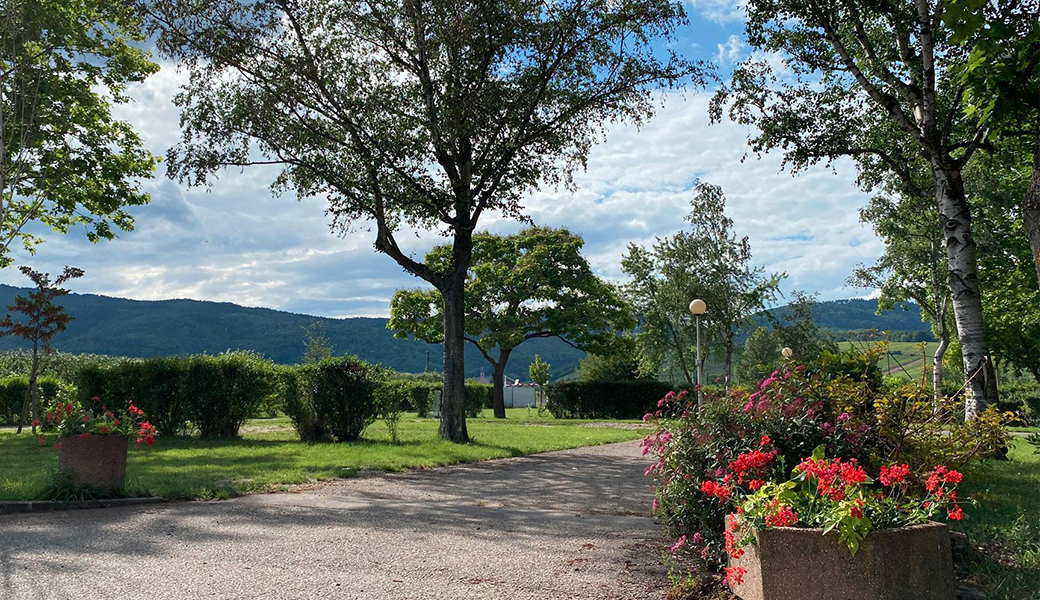 Die Stellplätze des Campingplatzes Riquewihr im Elsass mit Blick auf die Hügel der Vogesen